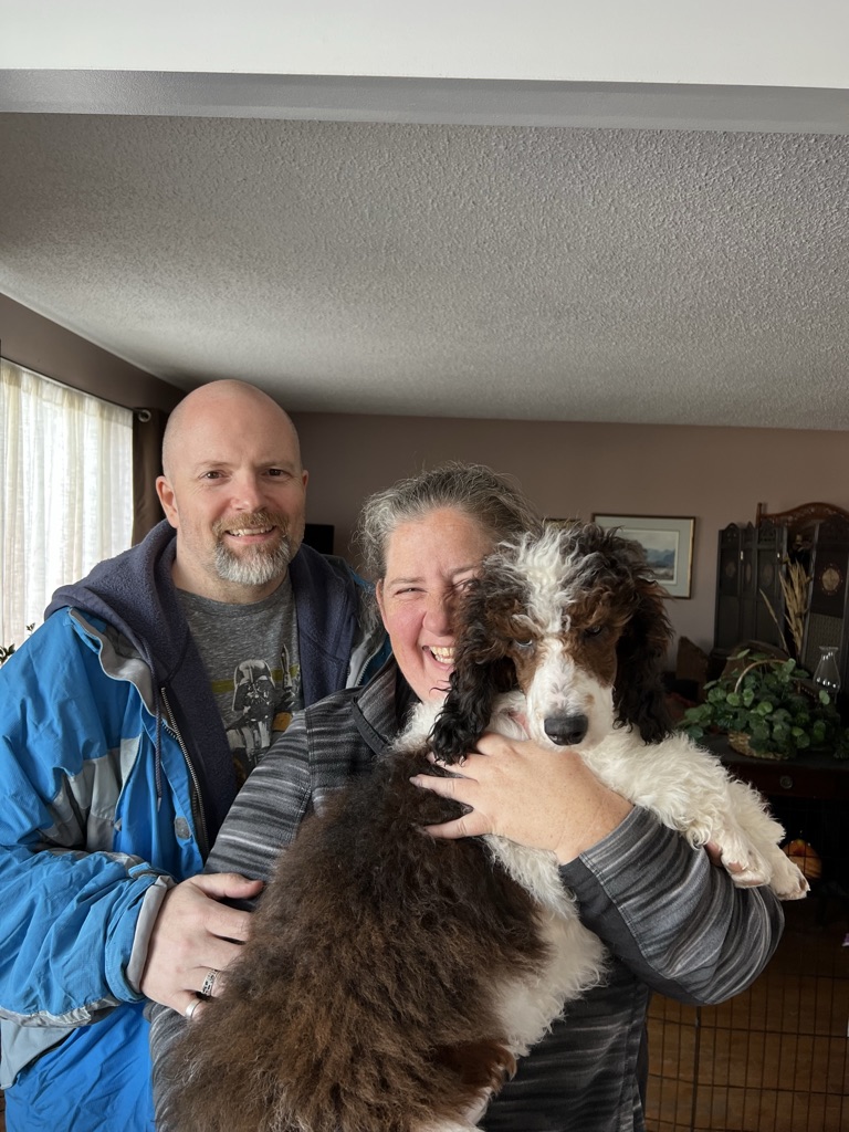 Service dog Therapy Dog Emotional support dog Large Medium Small poodles For Sale Poodle Available puppies Standard Poodle Pups AKC CKC Registered Breeder Edmonton Alberta Canada Black Blue Red Silver Brindle Phantom Parti Abstract Solid Cafe Au Lait Silver Beige OFA Heath Tested Available Stud Moyen Medium Small poodles For Sale Poodle Available puppies Standard Poodle Pups AKC CKC Registered Breeder Edmonton Alberta Canada Black Blue Red Silver Brindle Phantom Parti Abstract Solid Cafe Au Lait Silver Beige OFA Heath Tested Available Stud Moyen