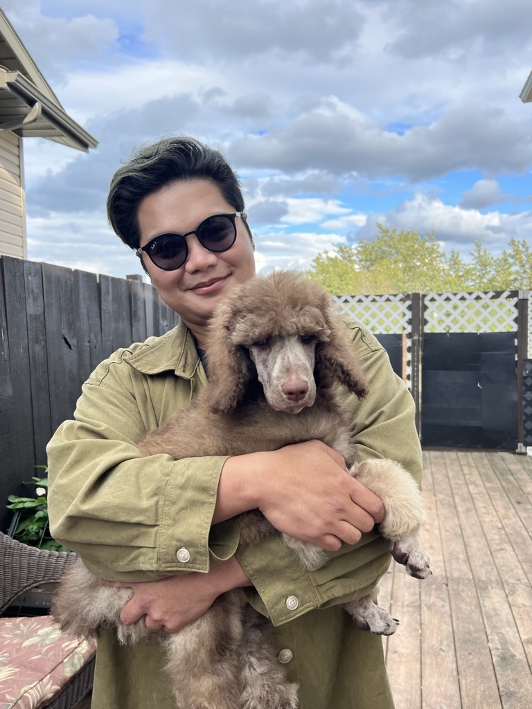 Service dog Therapy Dog Emotional support dog Large Medium Small poodles For Sale Poodle Available puppies Standard Poodle Pups AKC CKC Registered Breeder Edmonton Alberta Canada Black Blue Red Silver Brindle Phantom Parti Abstract Solid Cafe Au Lait Silver Beige OFA Heath Tested Available Stud Moyen Medium Small poodles For Sale Poodle Available puppies Standard Poodle Pups AKC CKC Registered Breeder Edmonton Alberta Canada Black Blue Red Silver Brindle Phantom Parti Abstract Solid Cafe Au Lait Silver Beige OFA Heath Tested Available Stud Moyen