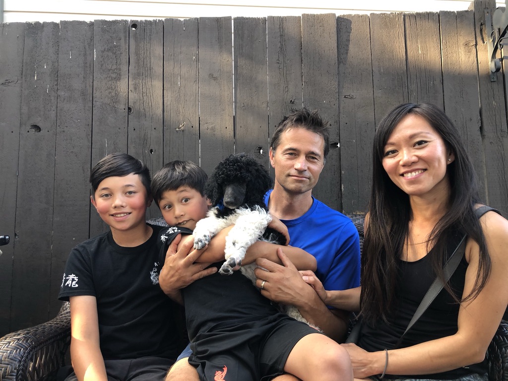 Service dog Therapy Dog Emotional support dog Large Medium Small poodles For Sale Poodle Available puppies Standard Poodle Pups AKC CKC Registered Breeder Edmonton Alberta Canada Black Blue Red Silver Brindle Phantom Parti Abstract Solid Cafe Au Lait Silver Beige OFA Heath Tested Available Stud Moyen Medium Small poodles For Sale Poodle Available puppies Standard Poodle Pups AKC CKC Registered Breeder Edmonton Alberta Canada Black Blue Red Silver Brindle Phantom Parti Abstract Solid Cafe Au Lait Silver Beige OFA Heath Tested Available Stud Moyen