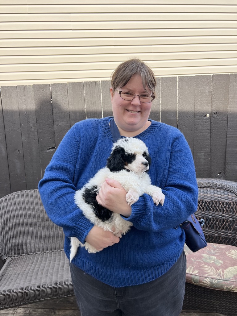 Service dog Therapy Dog Emotional support dog Large Medium Small poodles For Sale Poodle Available puppies Standard Poodle Pups AKC CKC Registered Breeder Edmonton Alberta Canada Black Blue Red Silver Brindle Phantom Parti Abstract Solid Cafe Au Lait Silver Beige OFA Heath Tested Available Stud Moyen Medium Small poodles For Sale Poodle Available puppies Standard Poodle Pups AKC CKC Registered Breeder Edmonton Alberta Canada Black Blue Red Silver Brindle Phantom Parti Abstract Solid Cafe Au Lait Silver Beige OFA Heath Tested Available Stud Moyen
