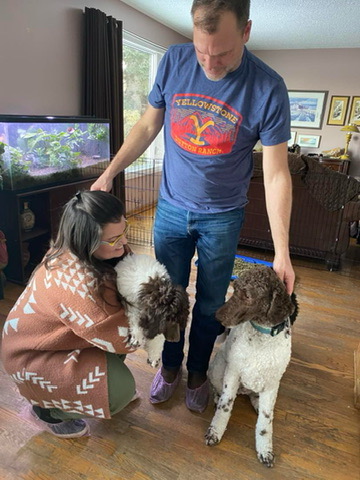 Service dog Therapy Dog Emotional support dog Large Medium Small poodles For Sale Poodle Available puppies Standard Poodle Pups AKC CKC Registered Breeder Edmonton Alberta Canada Black Blue Red Silver Brindle Phantom Parti Abstract Solid Cafe Au Lait Silver Beige OFA Heath Tested Available Stud Moyen Medium Small poodles For Sale Poodle Available puppies Standard Poodle Pups AKC CKC Registered Breeder Edmonton Alberta Canada Black Blue Red Silver Brindle Phantom Parti Abstract Solid Cafe Au Lait Silver Beige OFA Heath Tested Available Stud Moyen